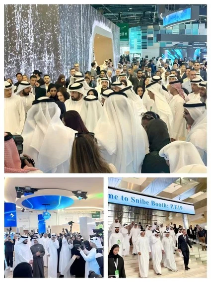 202503101624161 202503101624161